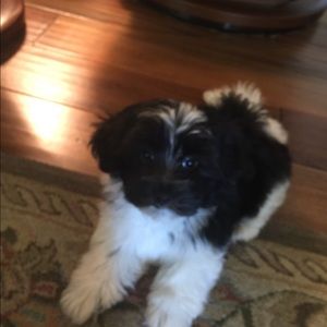 Meet your Posher, Kim